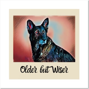 German Shepherd Older but Wiser Posters and Art